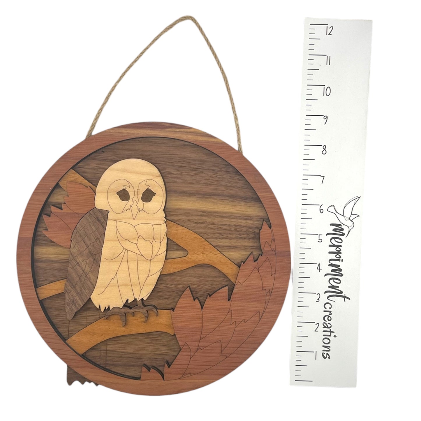 Wise Owl Plaque