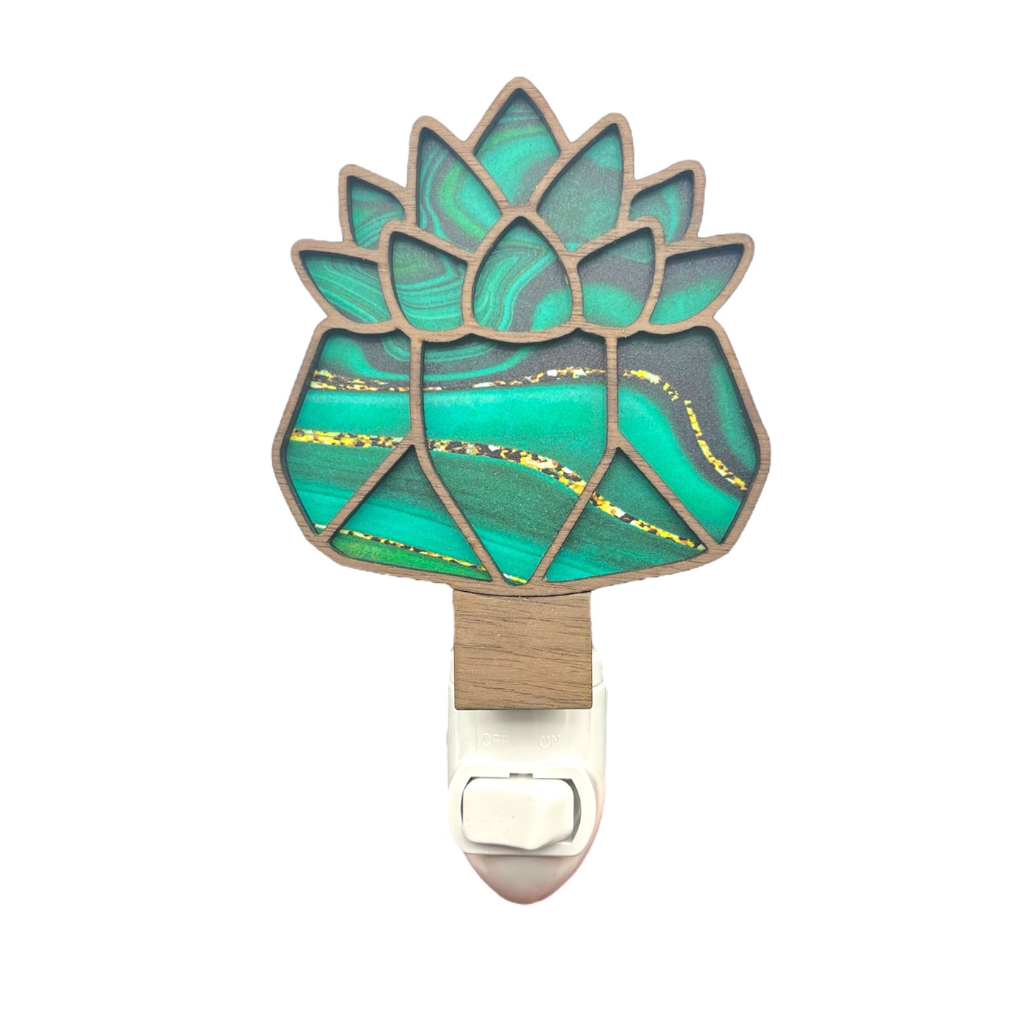 Succulent Night Light
