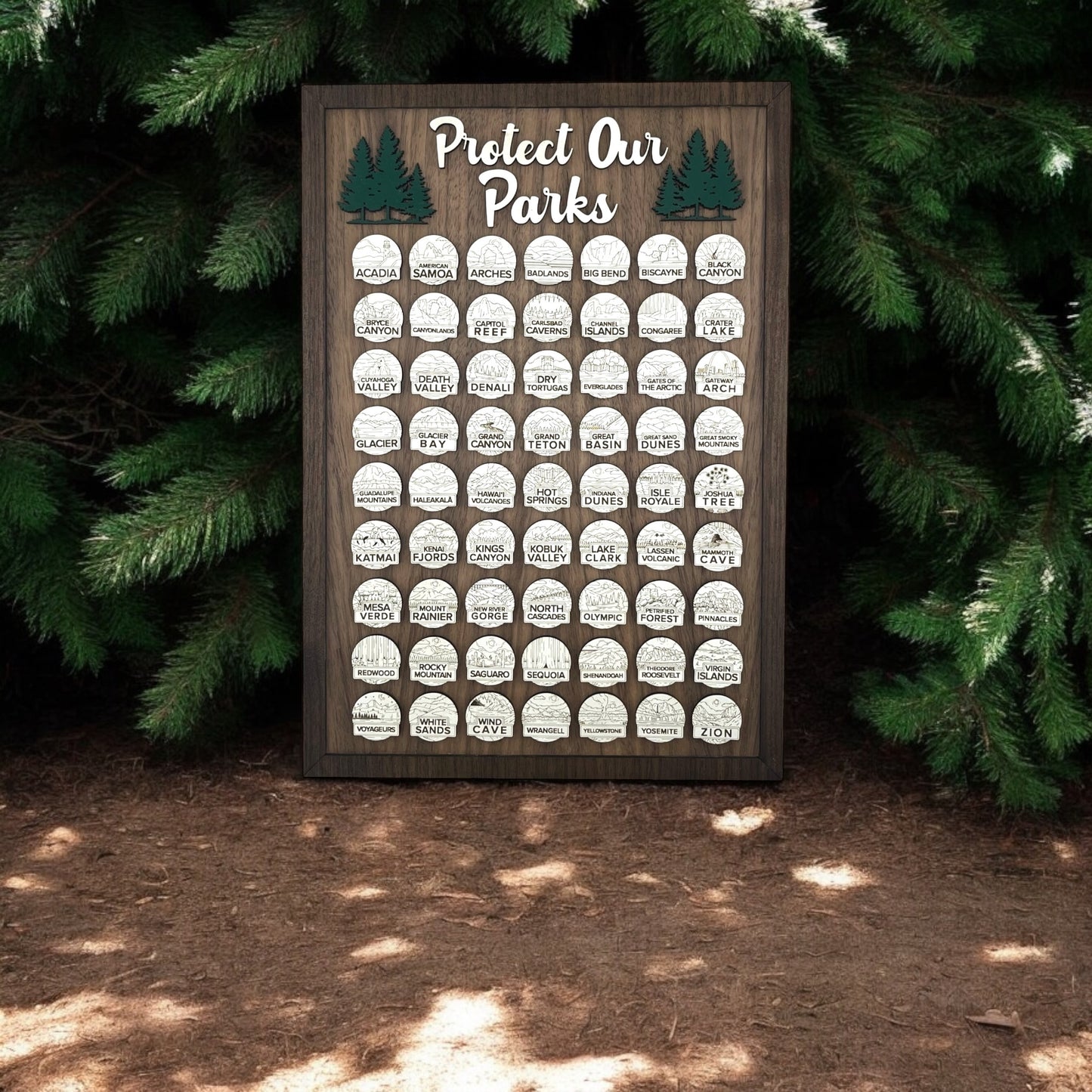 Protect Our Parks Wall Art