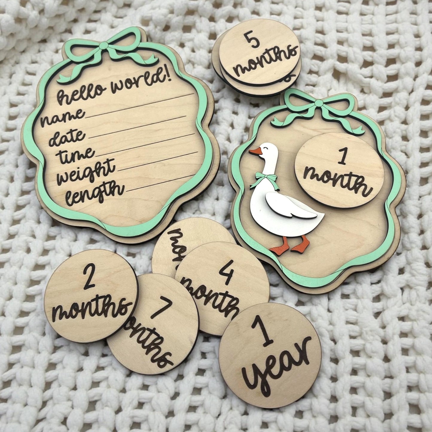 Silly Goose Baby Month Milestone Signs