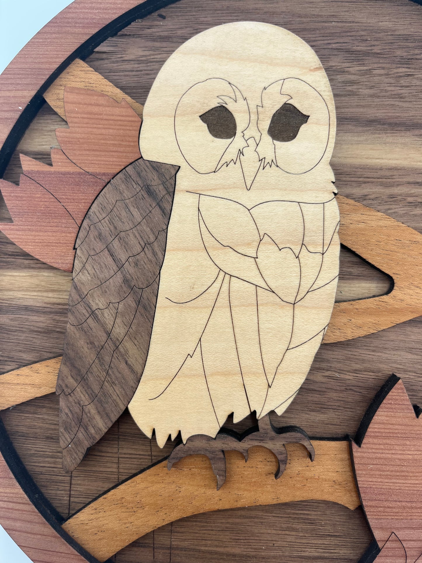 Wise Owl Plaque