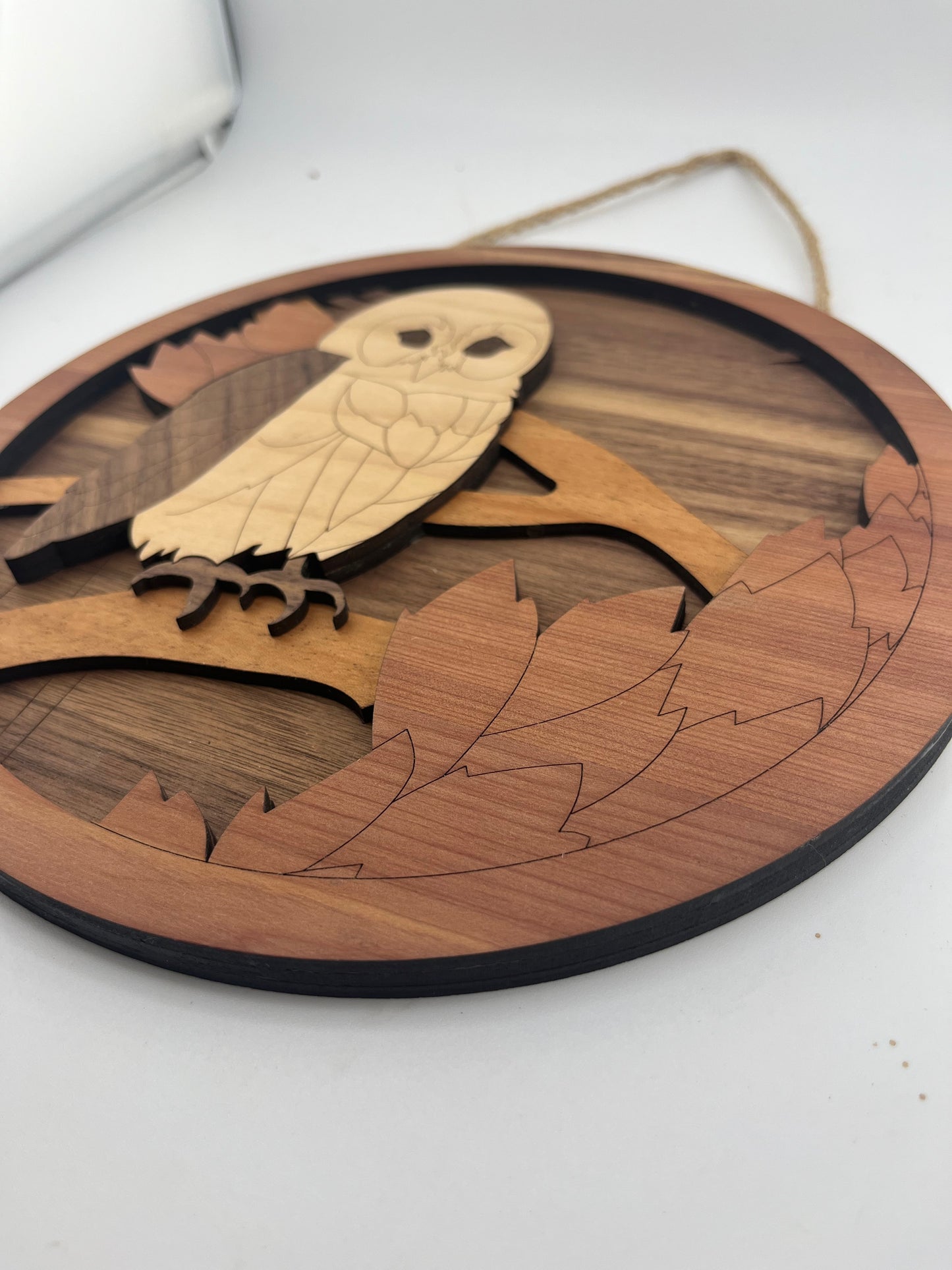 Wise Owl Plaque