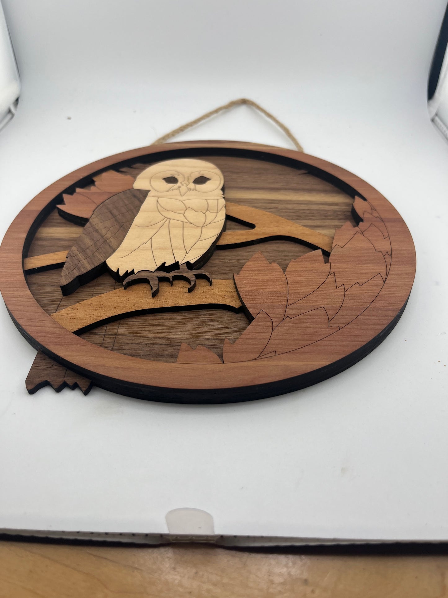 Wise Owl Plaque