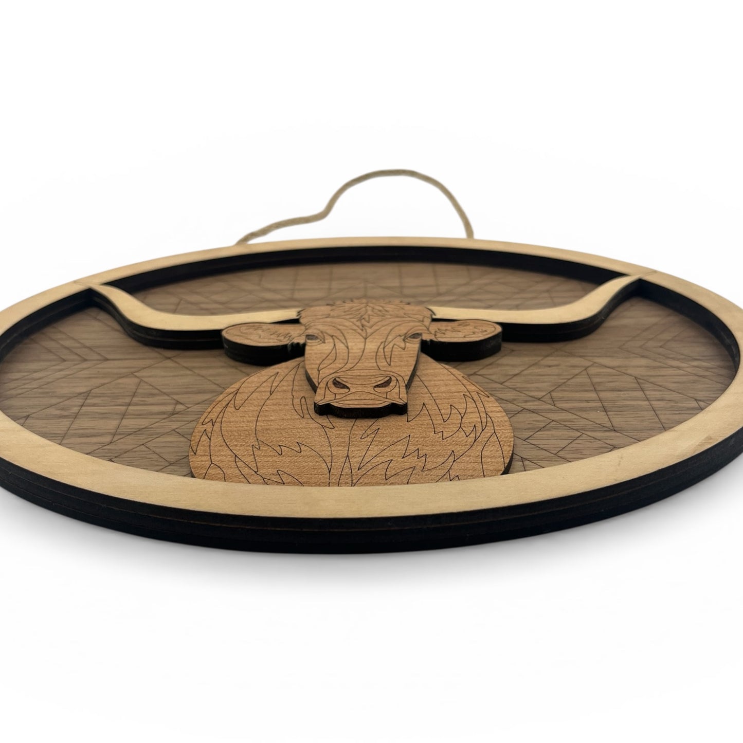 Longhorn Steer Plaque