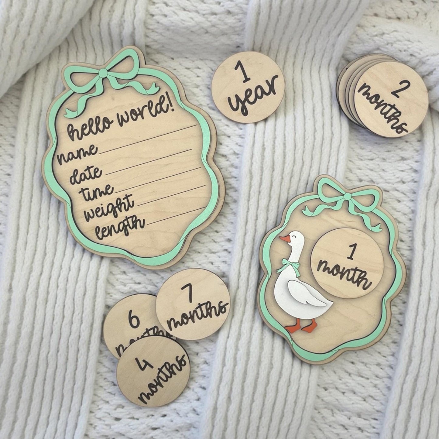 Silly Goose Baby Month Milestone Signs